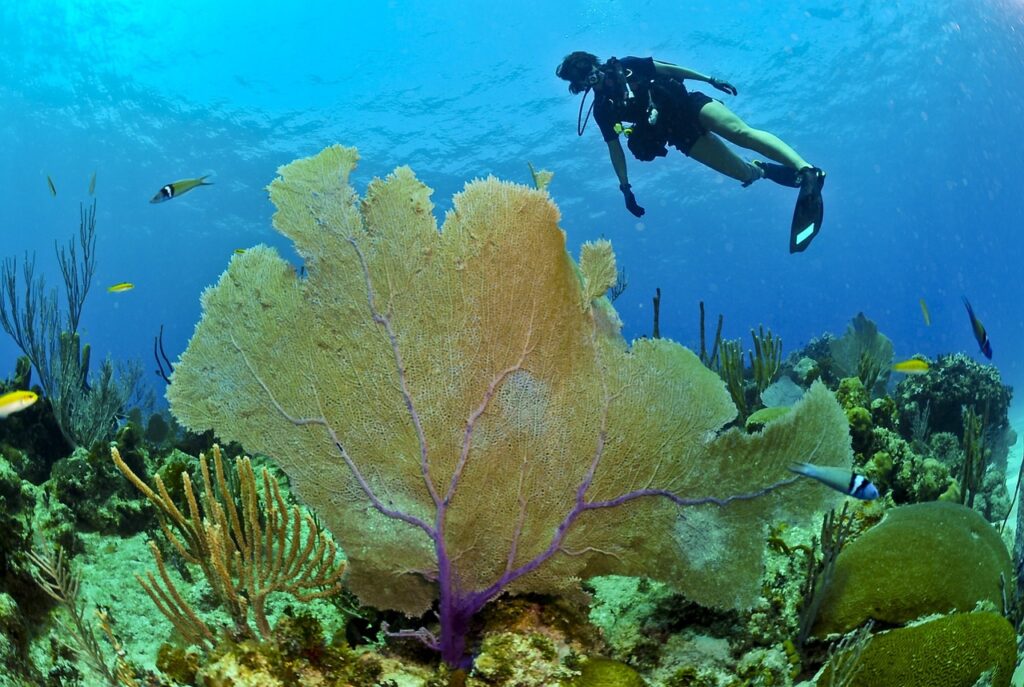 Best diving sites in Mexico